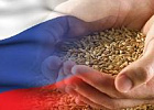Экспорт зерна: продать нельзя оставить Экспорт зерна: продать нельзя оставить